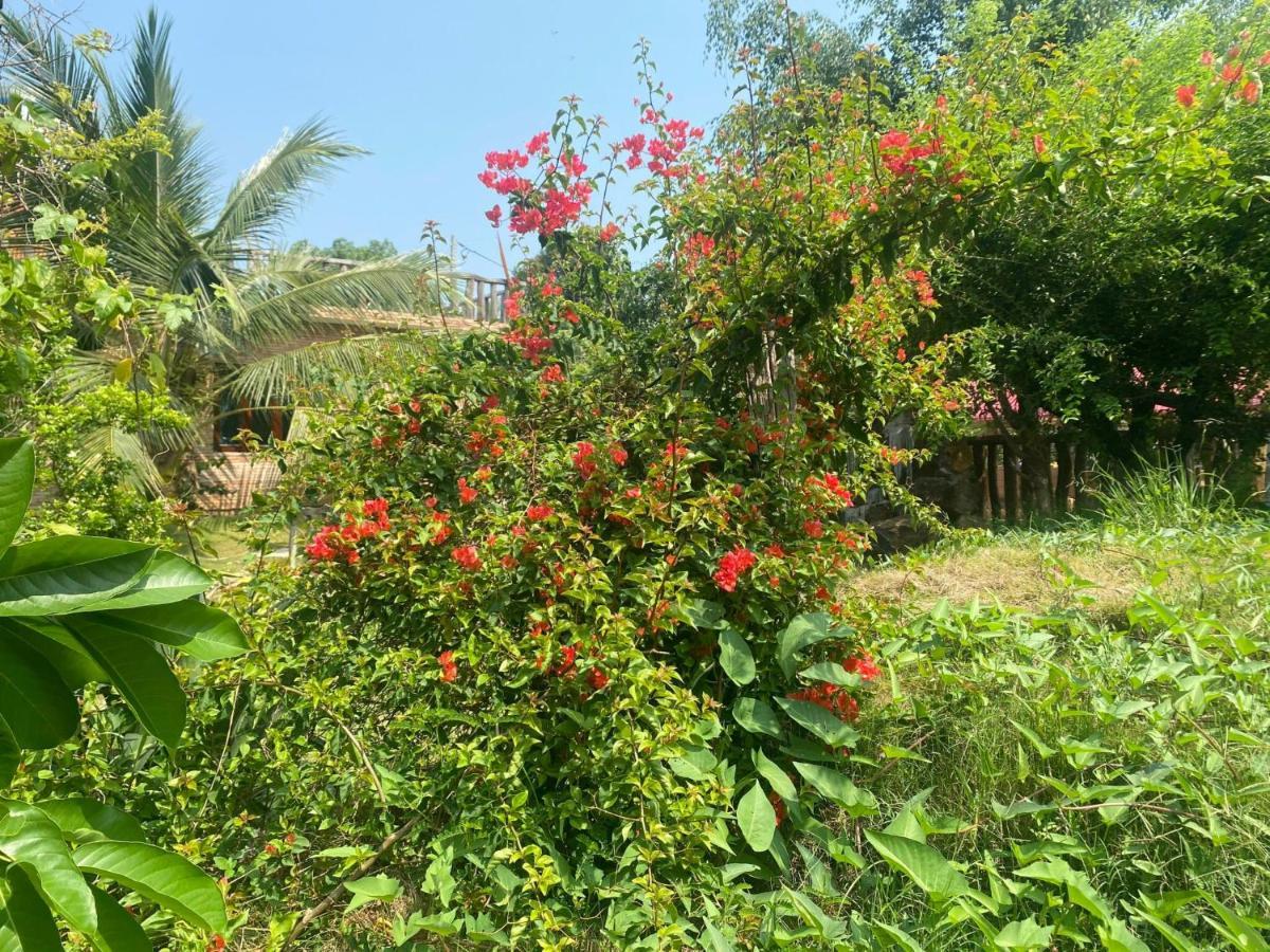Ngoc Tien Farmer Eco Lodge Кат Тиен Екстериор снимка